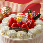 harumi-2025christmas-nmdc5